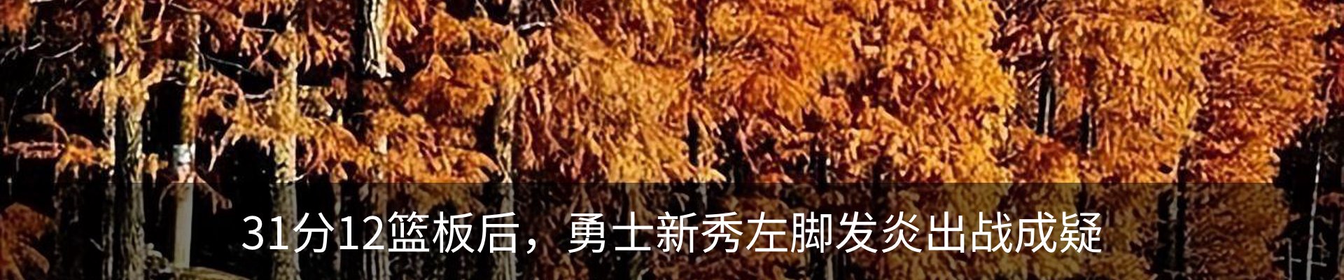 资讯动态